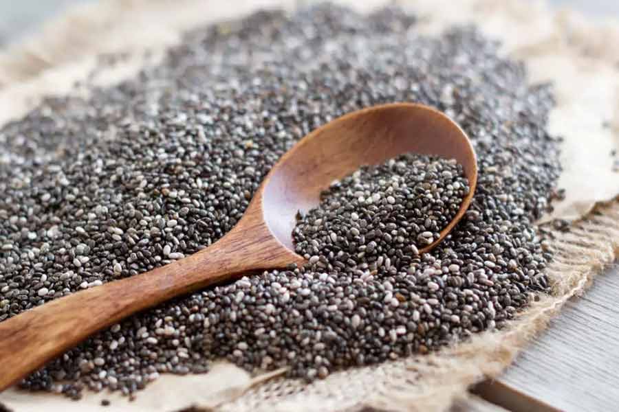 Here are the process of Chia Seeds cultivation