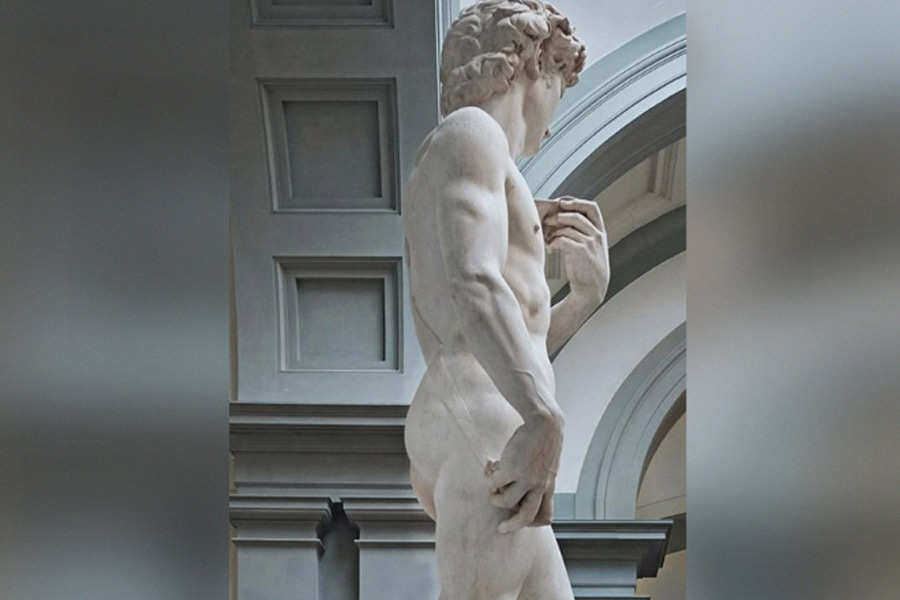 Museum flies lawsuits to 'protect' dignity of Michelangelo's David