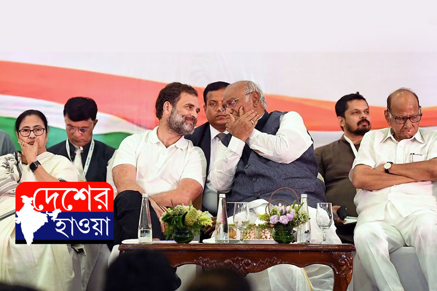 ইন্ডিয়া জোটের সব শরিককে নিয়ে মহামিছিলের ডাক কংগ্রেসের, যাবে কি তৃণমূল?