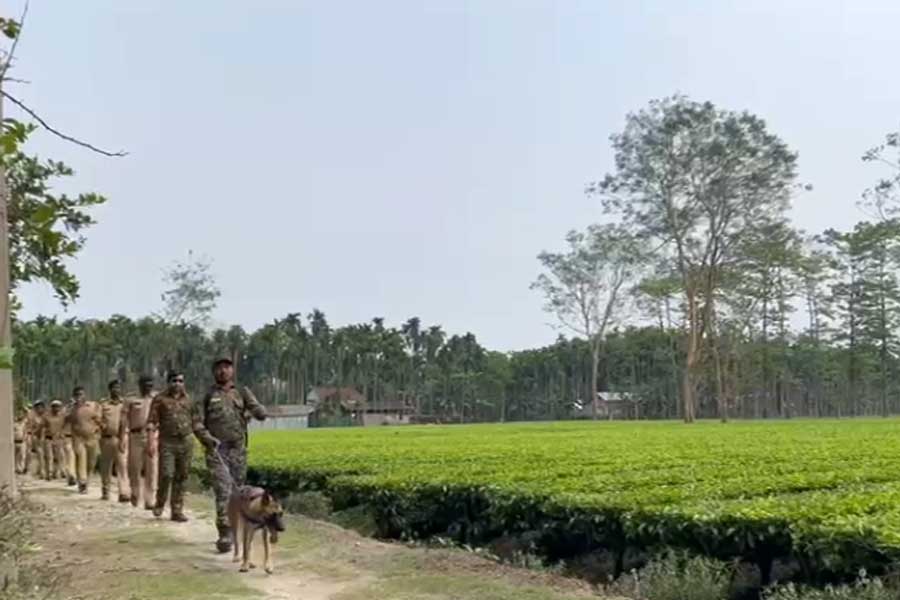 দোলে পুলিশ কুকুর নিয়ে জলদাপাড়া জাতীয় উদ্যানে তল্লাশি, কেন?