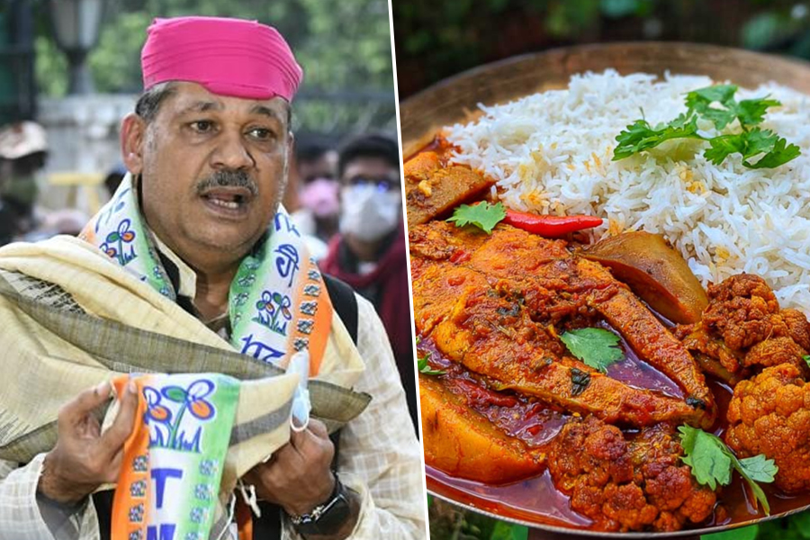 2024 Lok Sabha Polls: TMC candidate from Bardhaman Durgapur Kirti Azad says that he loves fish and rice