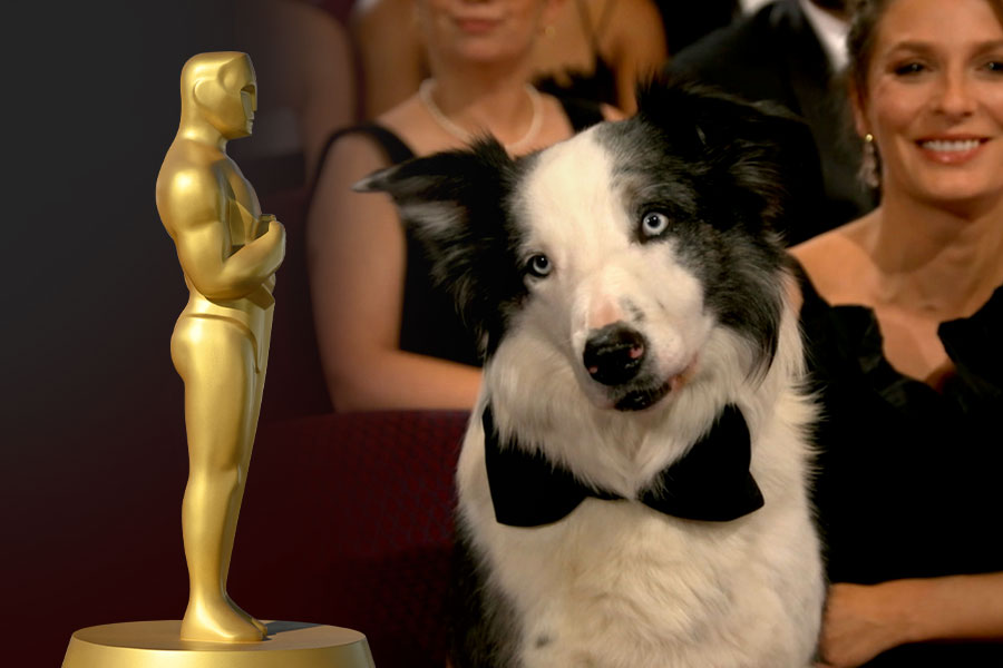 Messi, The Dog From Anatomy Of A Fall, Attends Oscars 2024