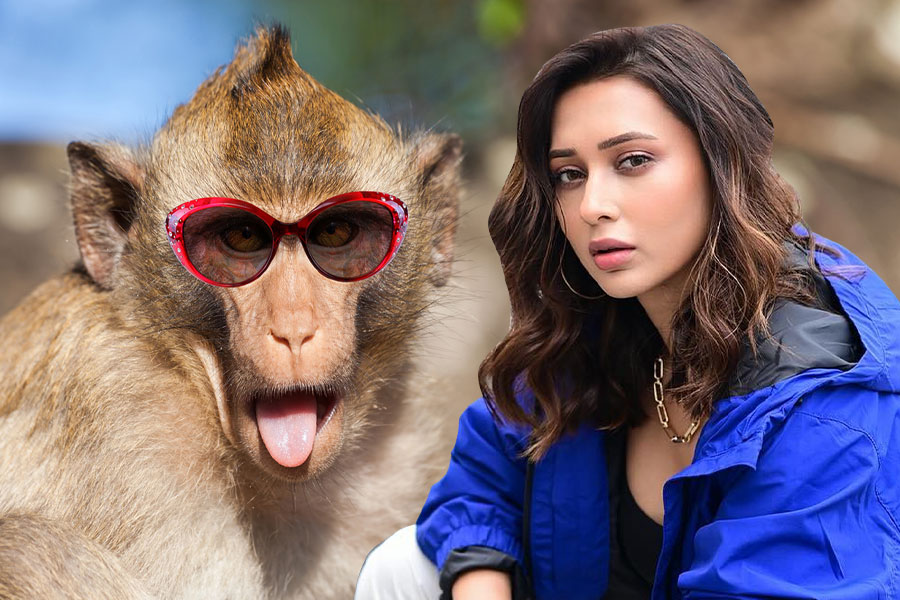 Mimi Chakraborty had to barter with a monkey, see video