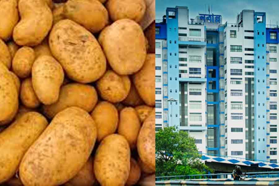 42 ton potato produced from seeds created in West Bengal