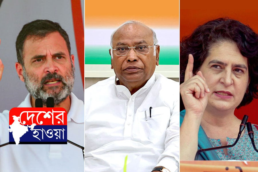 Lok Sabha 2024: Priyanka Gandhi's poll debut from Raebareli, Amethi redux for Rahul Gandhi