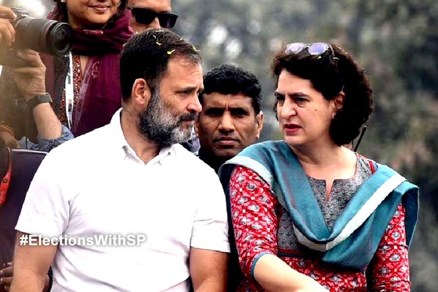 Lok Sabha 2024: Rahul, Priyanka Gandhi not to contest from Uttar Pradesh