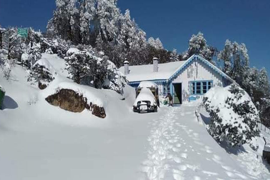 Transport stalled due to heavy snowfall in Sandakphu and Sikkim