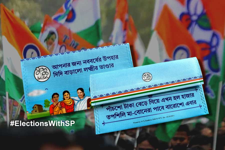 Lok Sabha Election 2024: TMC women wing focuses to door to door campaign with Mamata Banerjee's special projects for women