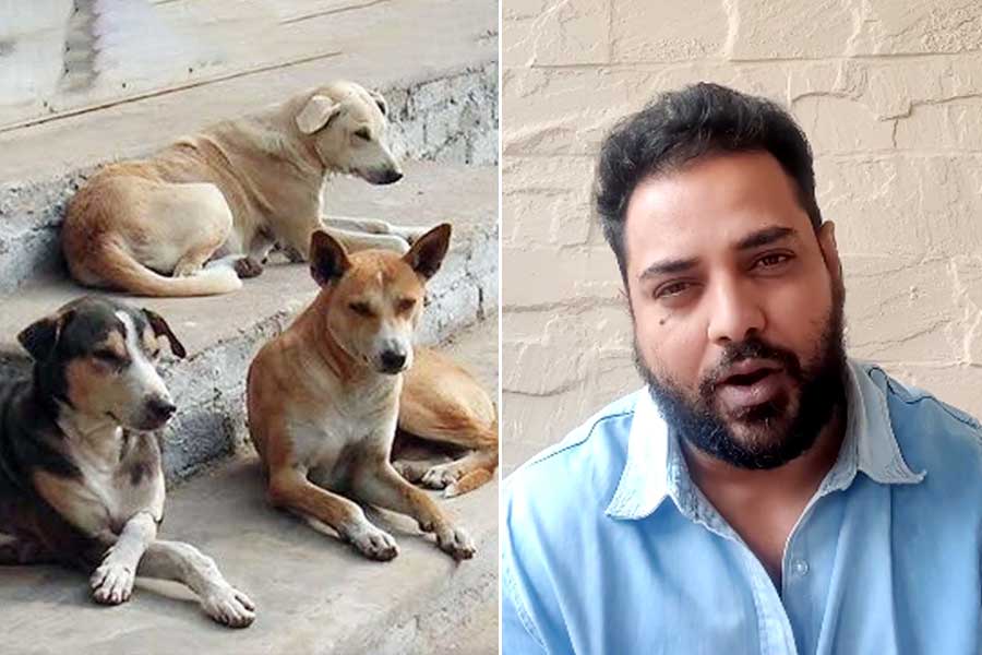 Tathagata Mukherjee warns people, asks not to put colours on stray animals before Holi 2024
