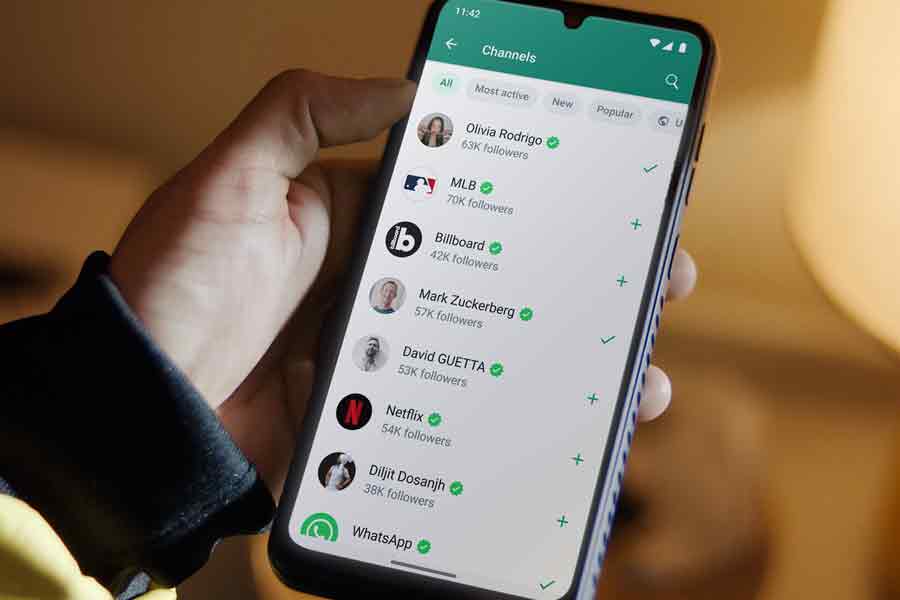 Users can send message to telegram and signal from WhatsApp