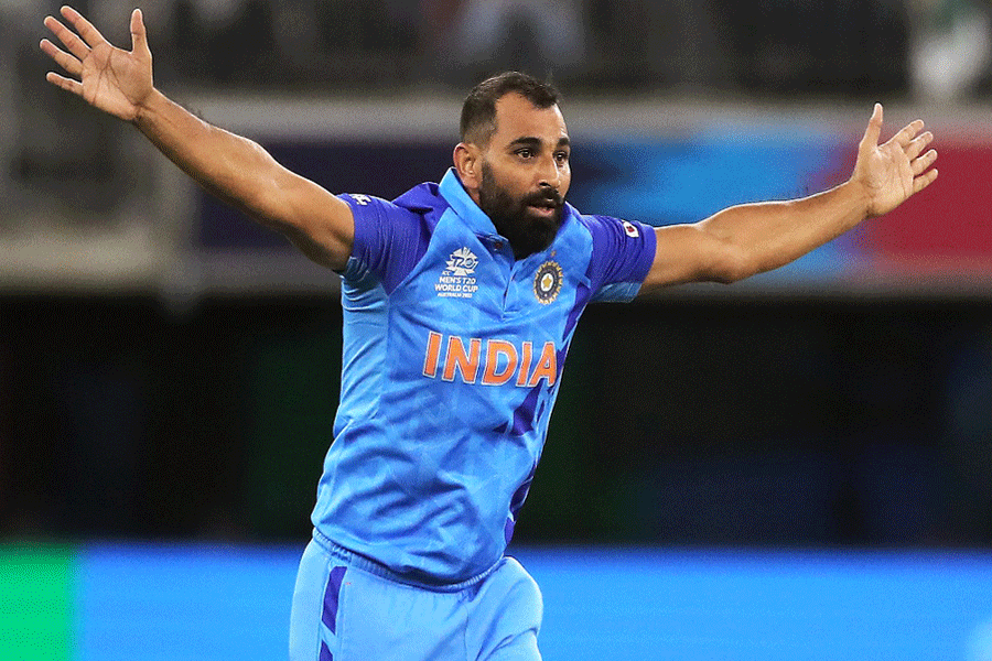 Gujarat Titans announces Mohammed Shami's replacement in ipl 2024