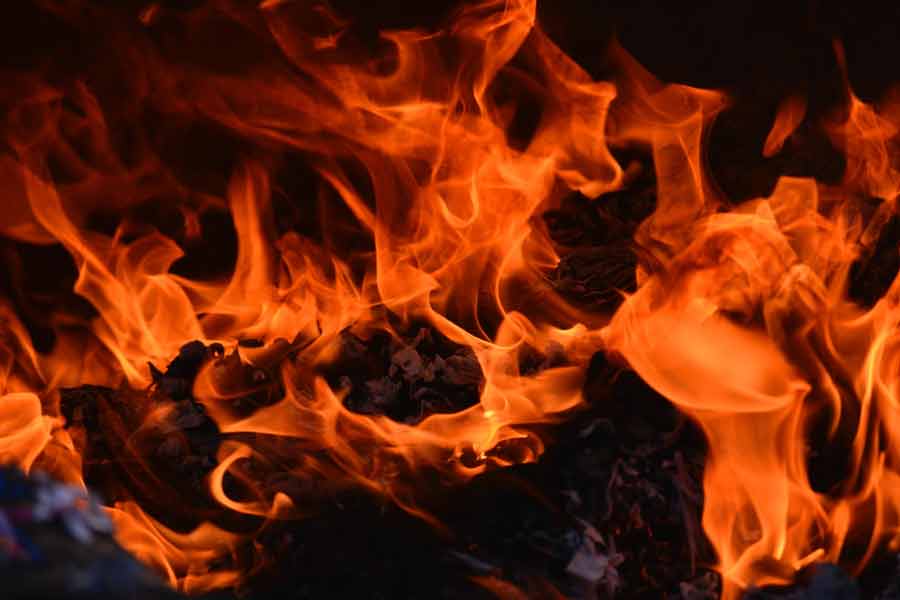 6 dead in fire during Shivratri ritual in Mauritius, S Jaishankar expressed condolences