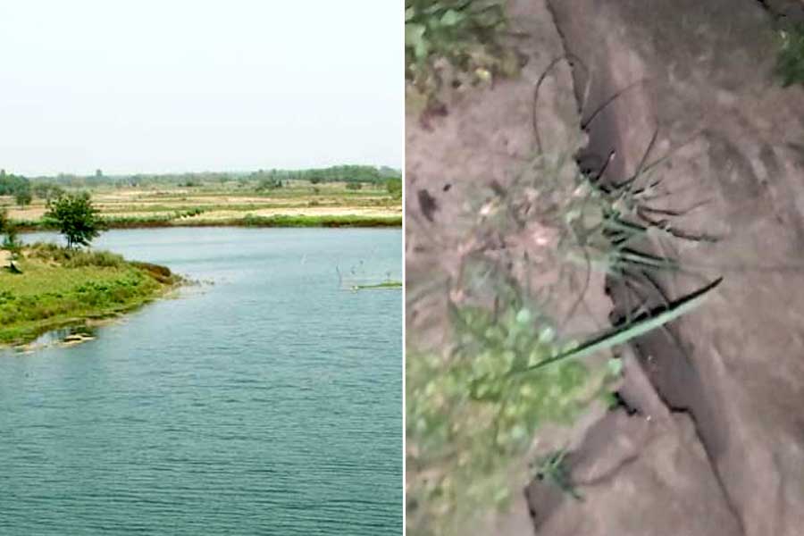 People in Kalna get panicked after erosion at Bhagirathi river bank