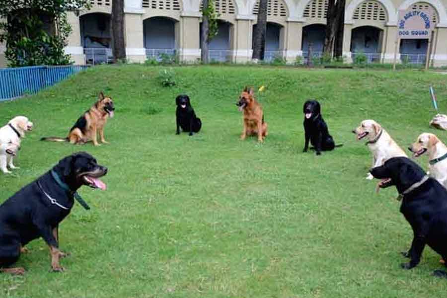 Kolkata Police dog squad trained to fight terrorist activities