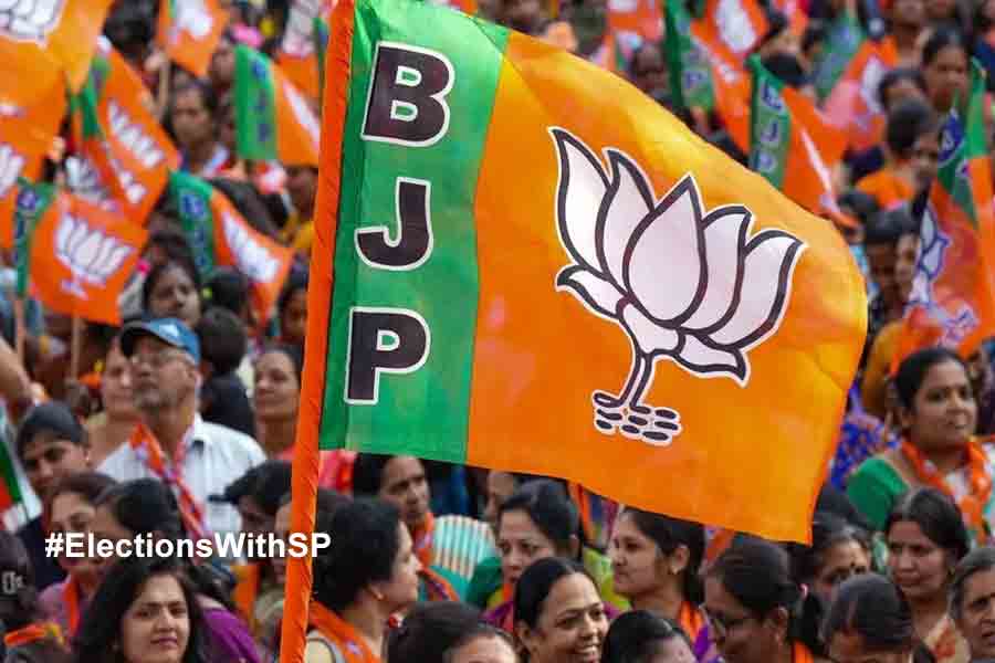 Lok Sabha 2024: BJP leader allegedly harassed a woman in Bhatar