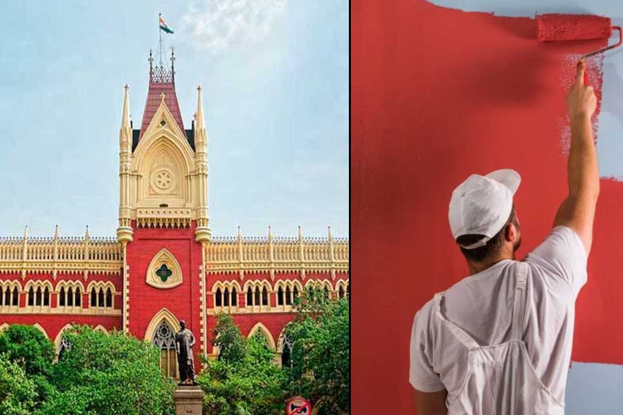 রঙের কৌটোর গায়ে ‘সিল্ক’ ব্যবহার, শব্দ চুরির অভিযোগে মামলা হাই কোর্টে