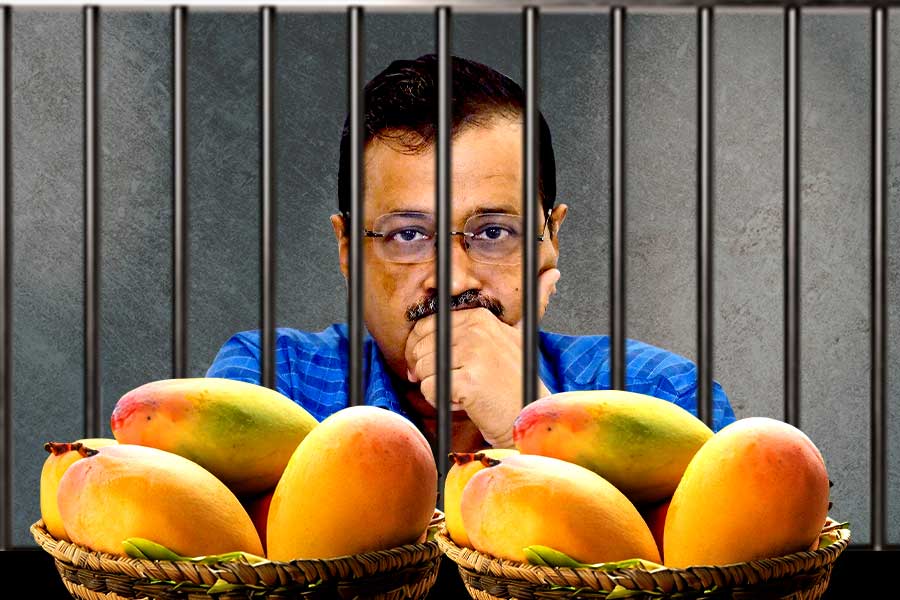 ‘মাত্র তিনটে আম খেয়েছেন’, ইডির অভিযোগ ওড়ালেন কেজরির আইনজীবী