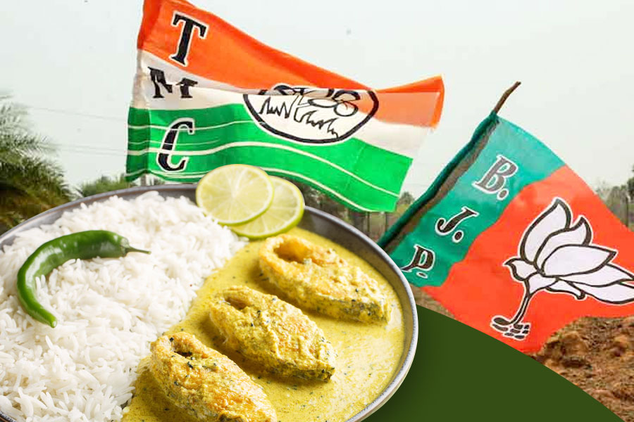 ‘মাছ-ভাত খাও, বাংলা থেকে বিজেপি হঠাও’, আমিষ-নিরামিষ বিতর্কের মাঝেই নয়া স্লোগান তৃণমূলের