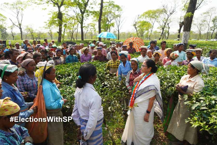 Mamata Banerjee promised to support 10 lakh workers of tea garden