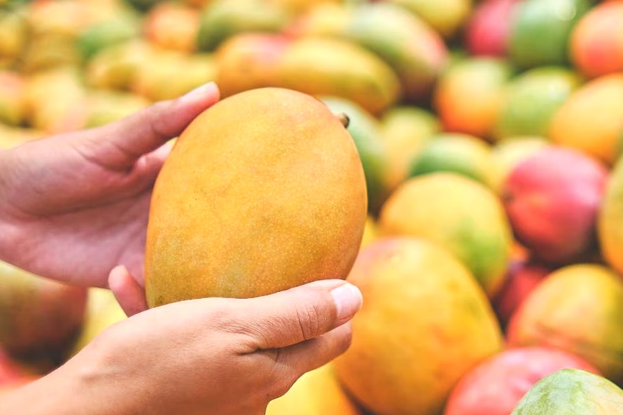 Know about these Health Benefits of Mango