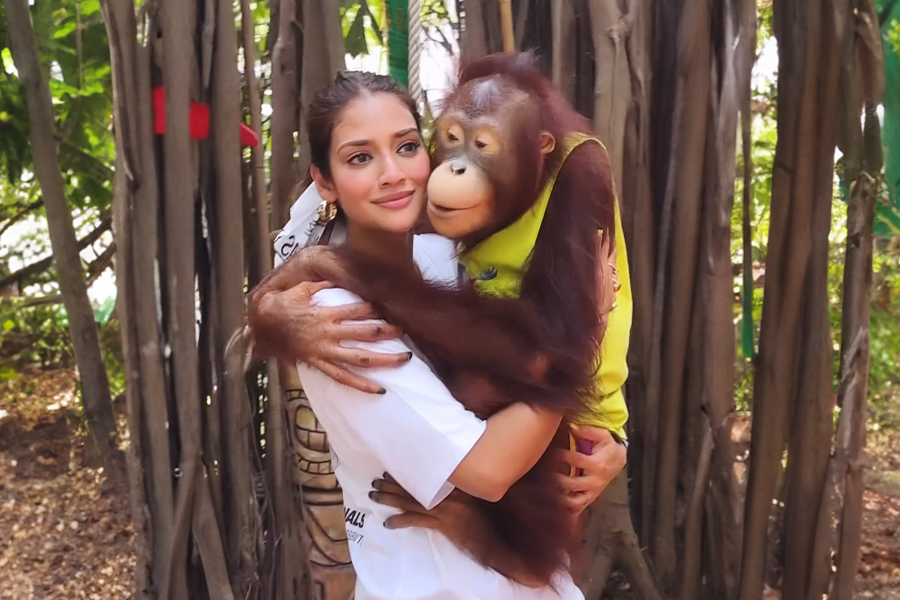 Nusrat Jahan trolled after posting video with Orangutan