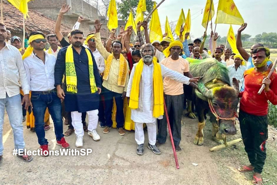 2024 Lok Sabha Election: Kurmi candidate from Purulia is campaigning with Ox as tradition