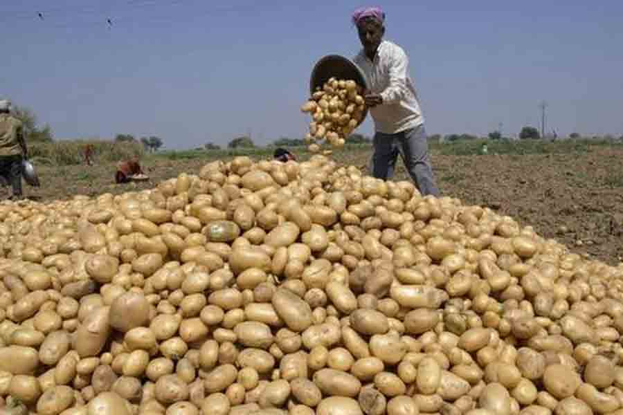Potato price hike in Bengal