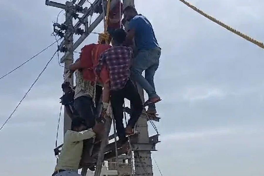 Uttar Pradesh Man Busts Wife's Extramarital Affair and She Climbs Electric Pole