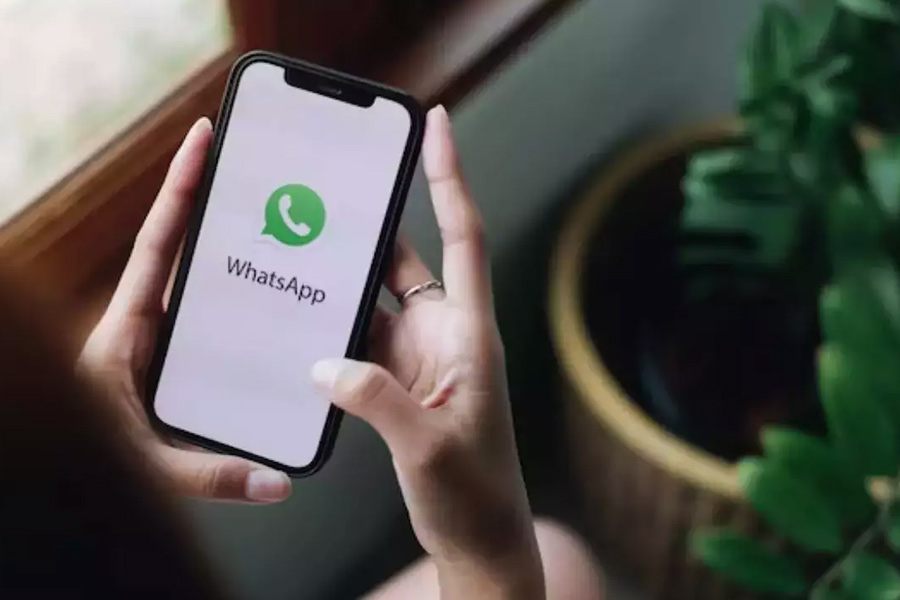 This is why WhatsApp has turned green for many users