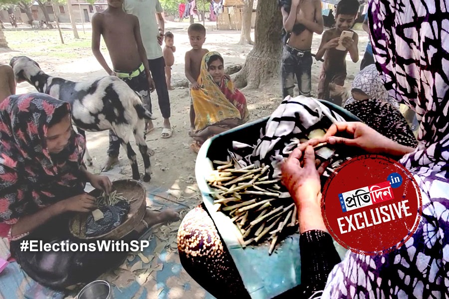 ভোট আবহে কেমন আছে মুর্শিদাবাদের বিড়ি গ্রাম?