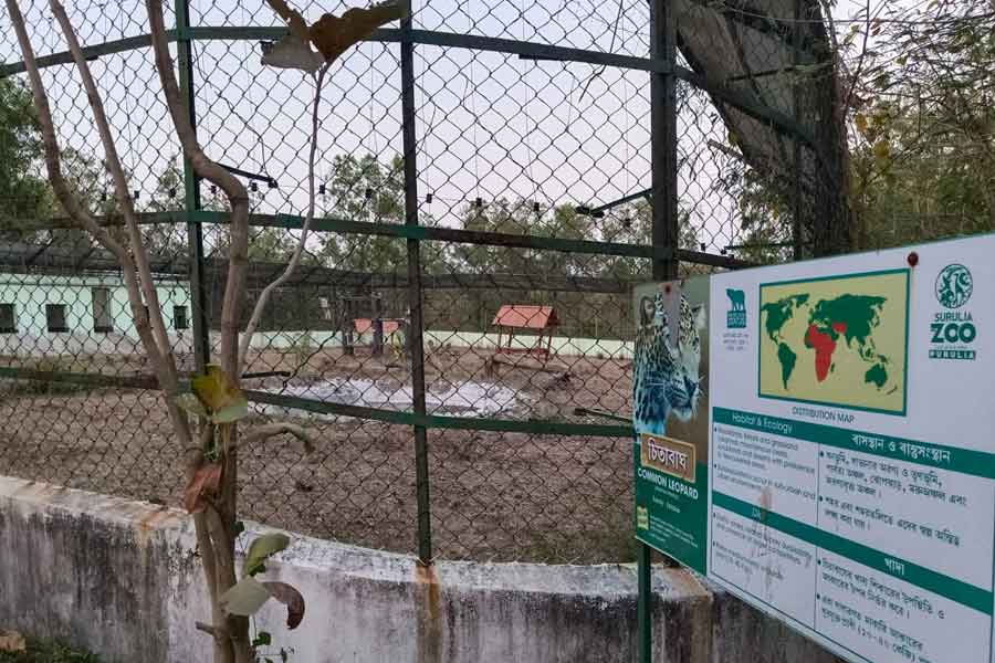Zoo