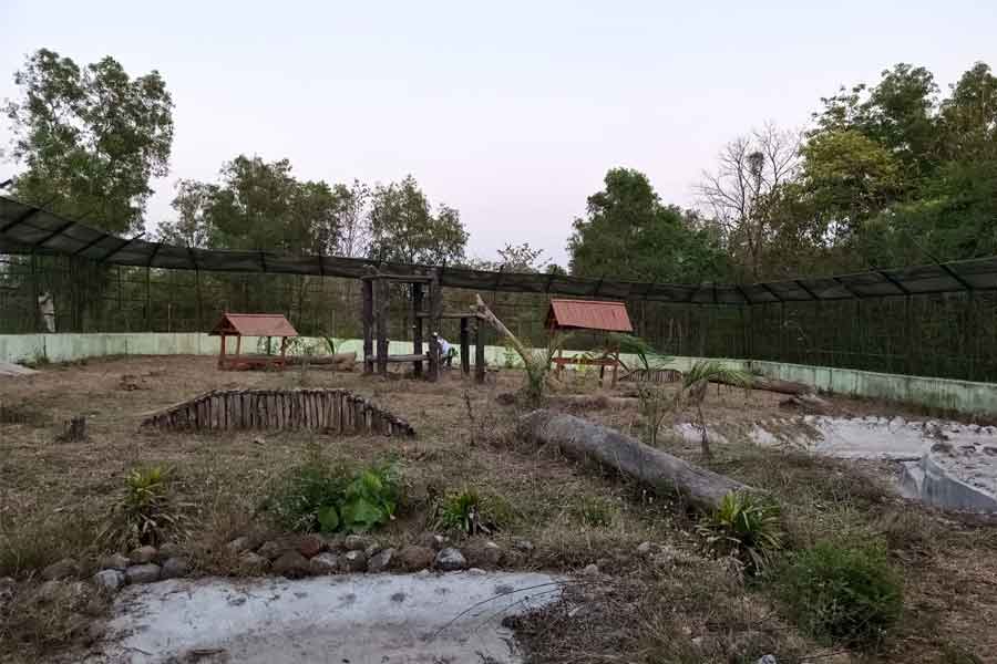 Zoo