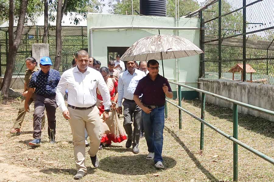 Zoo Visit