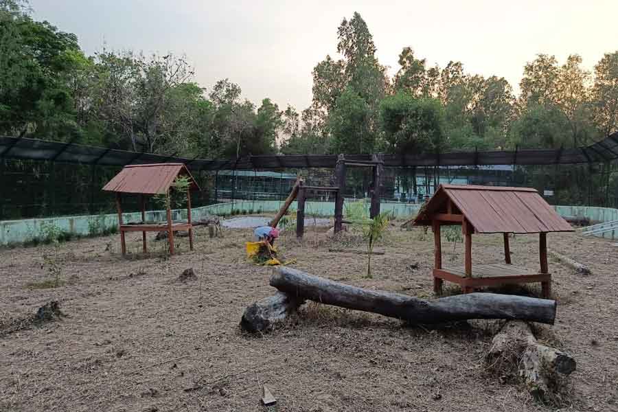 Zoo