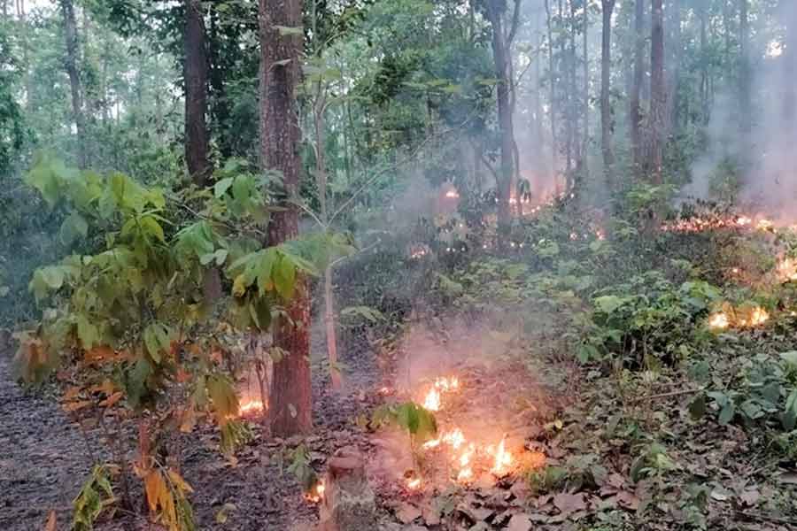 Miscreants put fire hilly tract of Garo Hills in the border area of Bangladesh