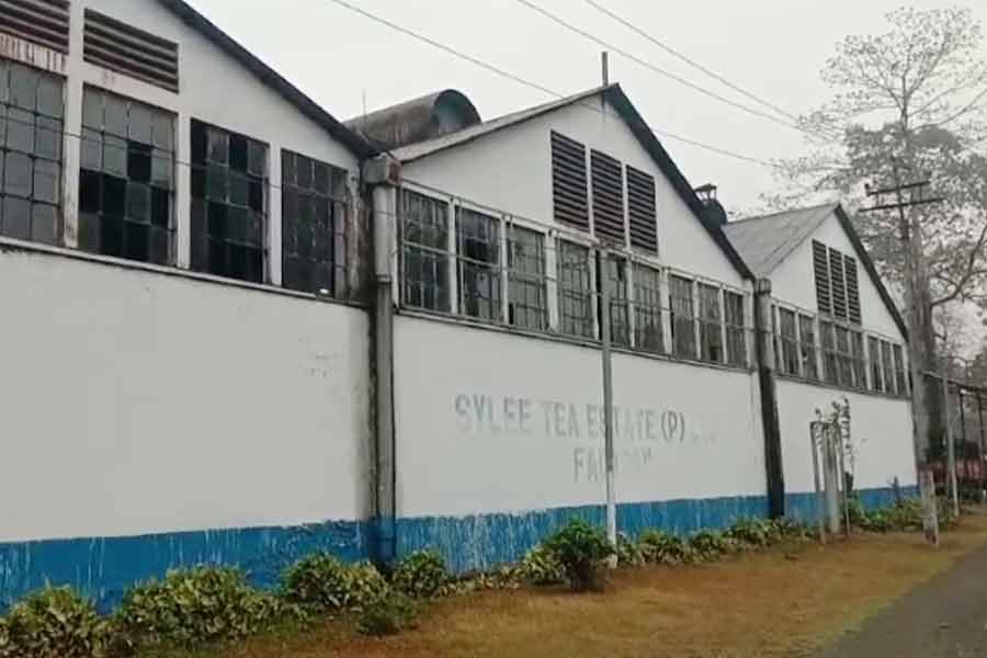 মুখ্যমন্ত্রীর সভার দিনই খুলছে মালবাজারের চা বাগান, লক্ষ্মীবারেই লক্ষ্মীলাভ শ্রমিকদের