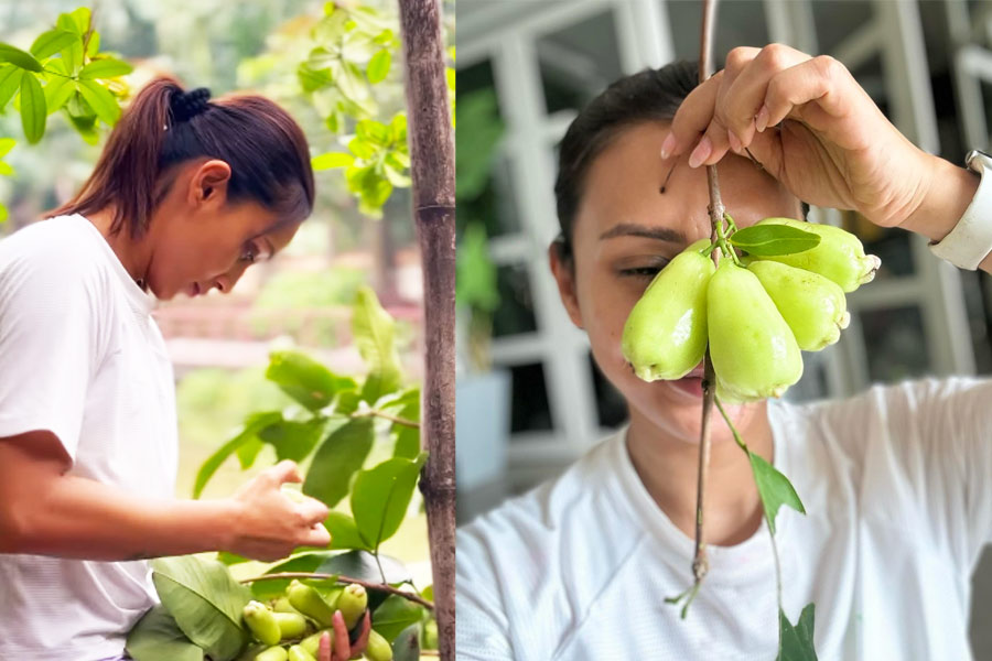 Mimi Chakraborty plants wax apple, shares video