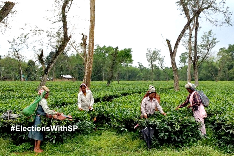 Tea tribes places trust on Mamata's development
