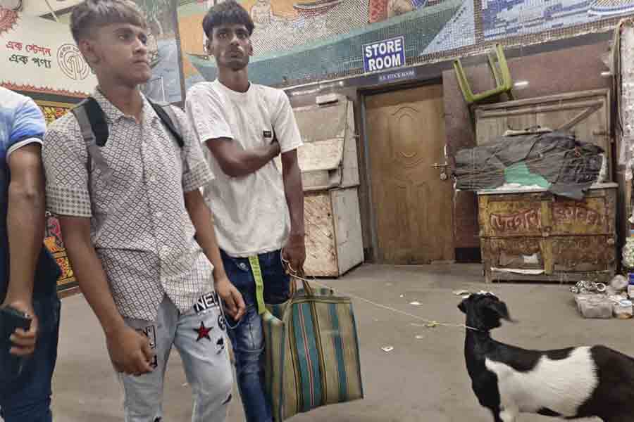 Railway fined goat for not buying ticket at Sealdah