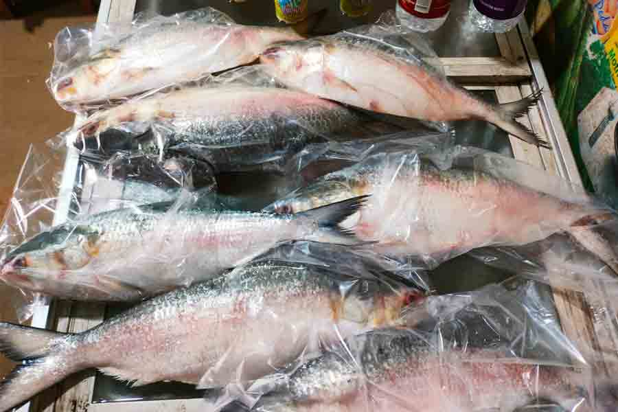 Fake hilsa from Myanmar is selling like hot cake in markets