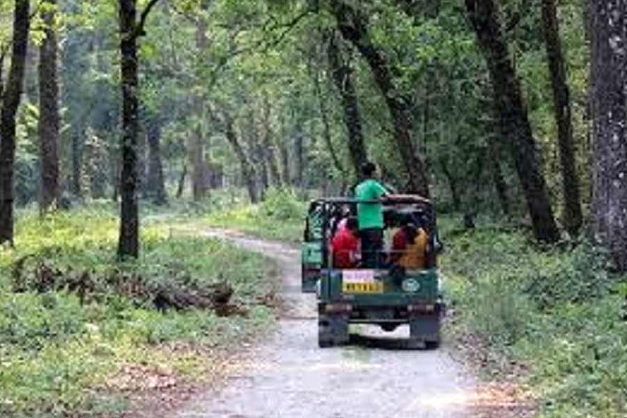 Forest department stopped Jayanti Mahakal safari
