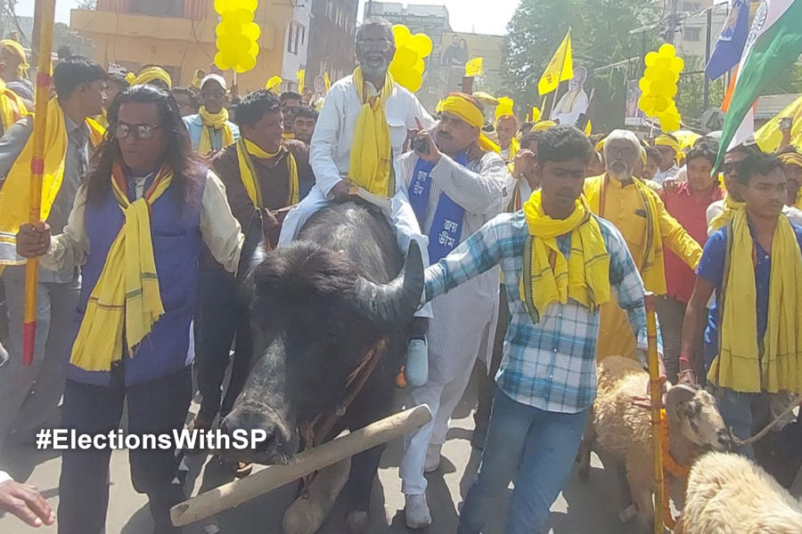 Lok Sabha Election 2024: Kurmi candidate from Purulia submits nomination with unique rally with Ox and other animals
