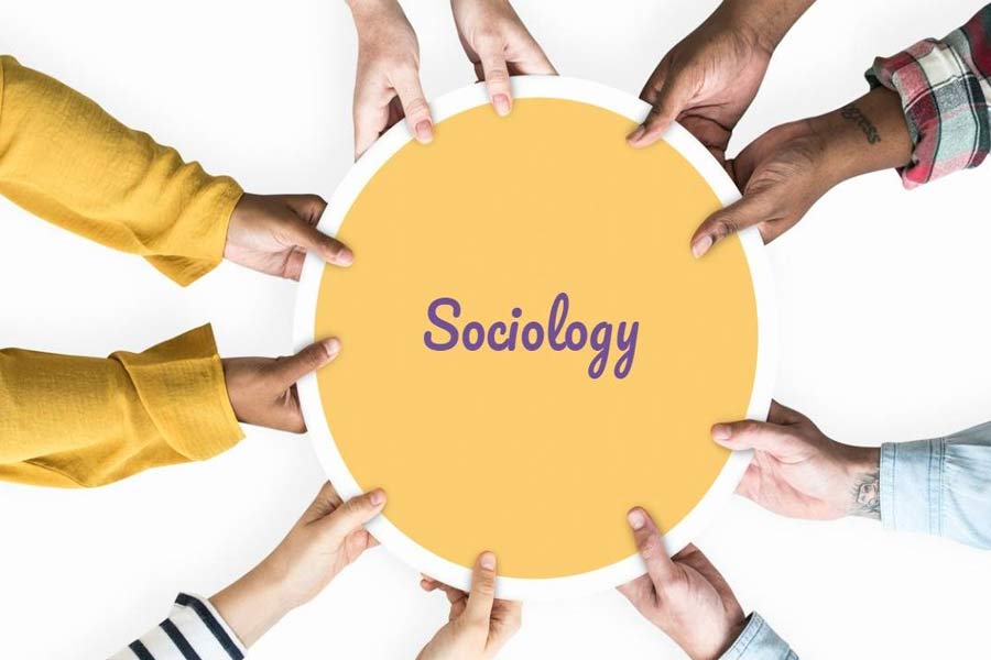 Job opportunities after studying sociology