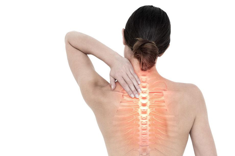 Spine-3