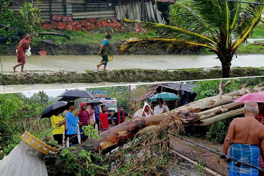 রেমাল ঝড়ে বিপর্যস্ত উত্তর ২৪ পরগনার বহু এলাকা, নেই বিদ্যুৎ, গাছ পড়ে বন্ধ রাস্তাঘাট