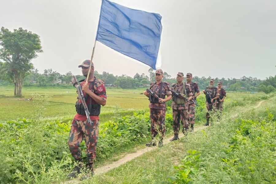 বাংলাদেশে জলের দর চামড়ার, পাচারের আশঙ্কা ভারতে! সীমান্তে টহলদারি বাড়াল বিজিবি