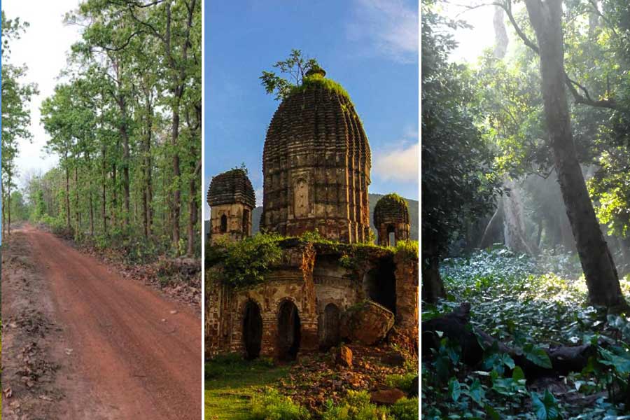 বর্ষায় বেড়াতে যাবেন? বাংলার এই চার জায়গার কথা মাথায় রাখুন