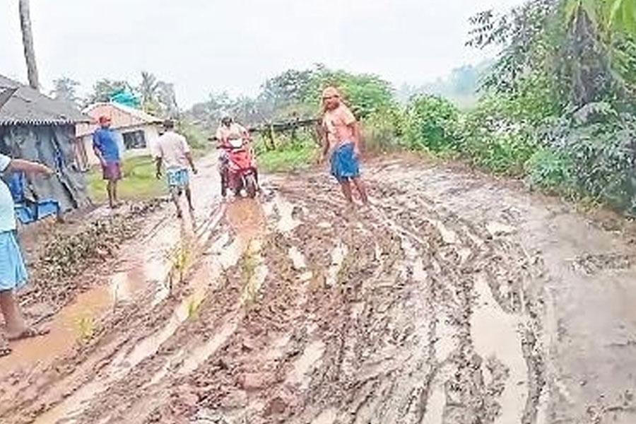 দাসপুরে কাঁসাই নদীর বাঁধ যেন জল-কাদায় ভরা কৃষিজমি! পঞ্চায়েতের বিরুদ্ধে উদাসীনতার অভিযোগ