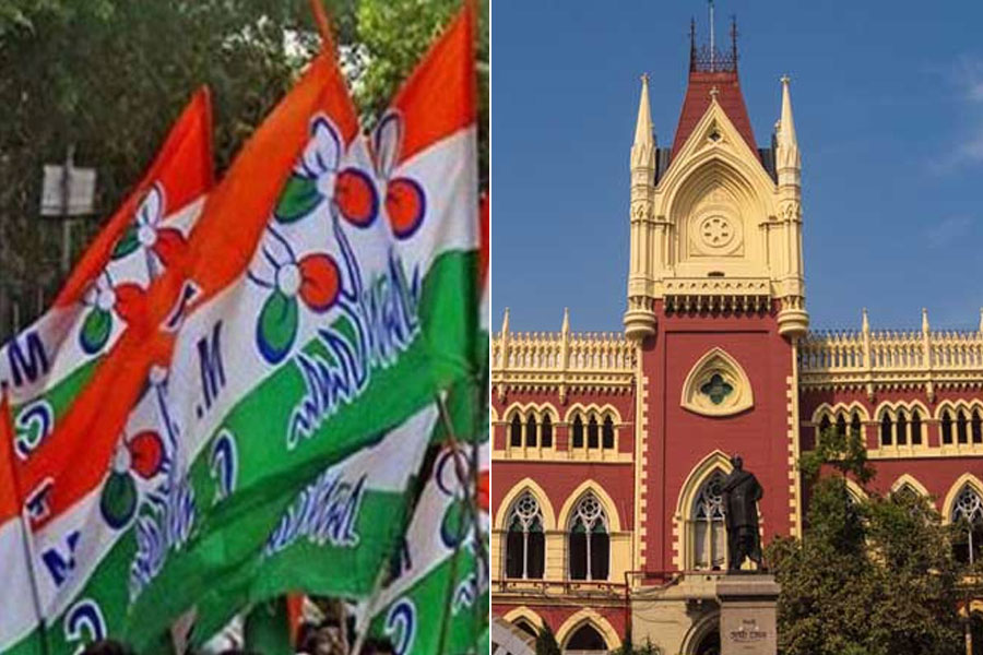 দলেরই কাউন্সিলরের পদ বাতিল করতে হবে, হাই কোর্টের ডিভিশন বেঞ্চে গেল তৃণমূল