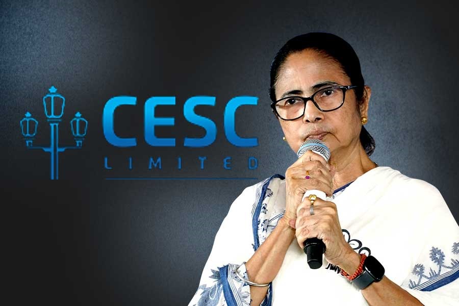 ‘না জানিয়ে দাম বাড়িয়েছে CESC, আমরা এক পয়সাও বাড়াইনি’, বলছেন মমতা